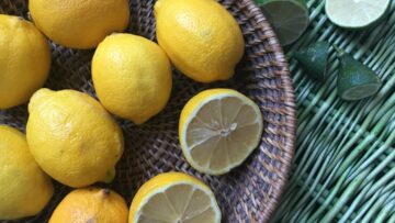 Jak se obléct na střelnici: Průvodce vhodným oblečením