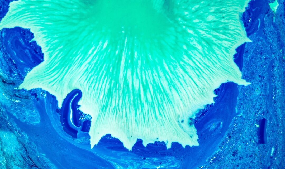 Photo turquoise color